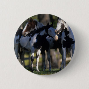 Badge Rond 5 Cm Chevaux de peinture