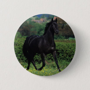 Badge Rond 5 Cm Chevaux de pur sang dans le domaine de fleur