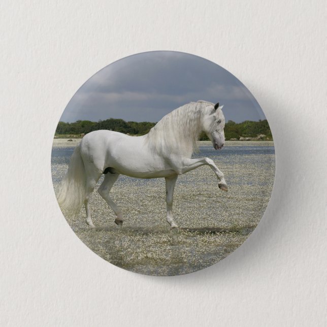 Badge Rond 5 Cm Chevaux d'imaginaire : Seigneur du lac (Devant)