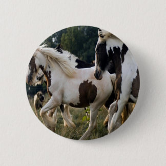 BADGE ROND 5 CM CHEVAUX NOIR ET BLANC 1.PNG