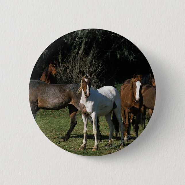 Badge Rond 5 Cm Chevaux sauvages 1 de mustang (Devant)