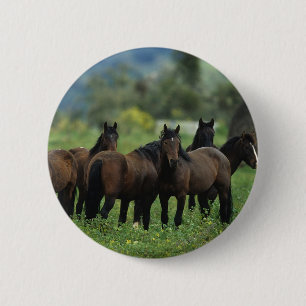 Badge Rond 5 Cm Chevaux sauvages 3 de mustang