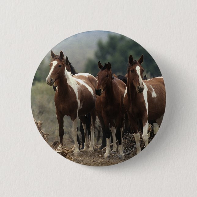 Badge Rond 5 Cm Chevaux sauvages 7 de mustang (Devant)
