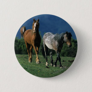 Badge Rond 5 Cm Chevaux sauvages de mustang