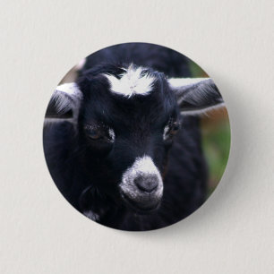 Badge Rond 5 Cm Chèvre de bébé