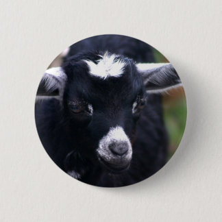 Badge Rond 5 Cm Chèvre de bébé
