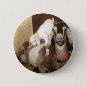 Badge Rond 5 Cm Chèvre de mamans et de bébé