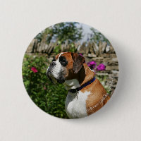 Chien de boxeur en fleurs