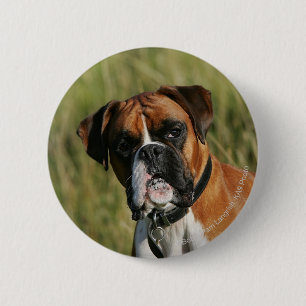 Badge Rond 5 Cm Chien de boxeur regardant fixement