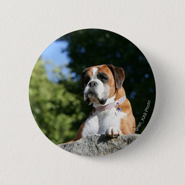 Badge Rond 5 Cm Chien de boxeur s'étendant sur une roche (Devant)