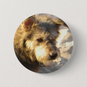 Badge Rond 5 Cm Chien de plage thaïlandais