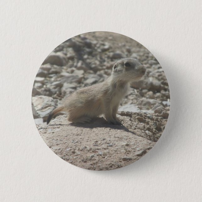 Badge Rond 5 Cm Chien de prairie de bébé (Devant)