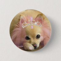 chien féerique de princesse avec la couronne de