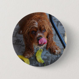 Badge Rond 5 Cm Chien humide avec banane