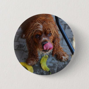 Badge Rond 5 Cm Chien mouillé avec une banane