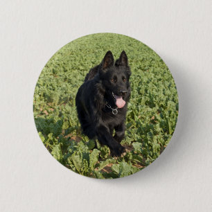 Badge Rond 5 Cm Chien noir