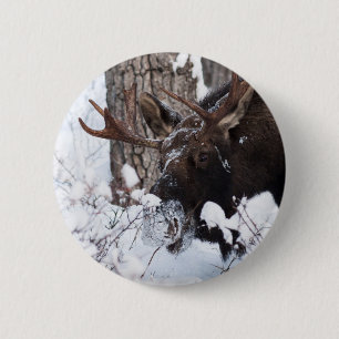Badge Rond 5 Cm Chilly Moose