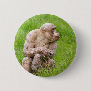Badge Rond 5 Cm Chimpanzé sans cheveux