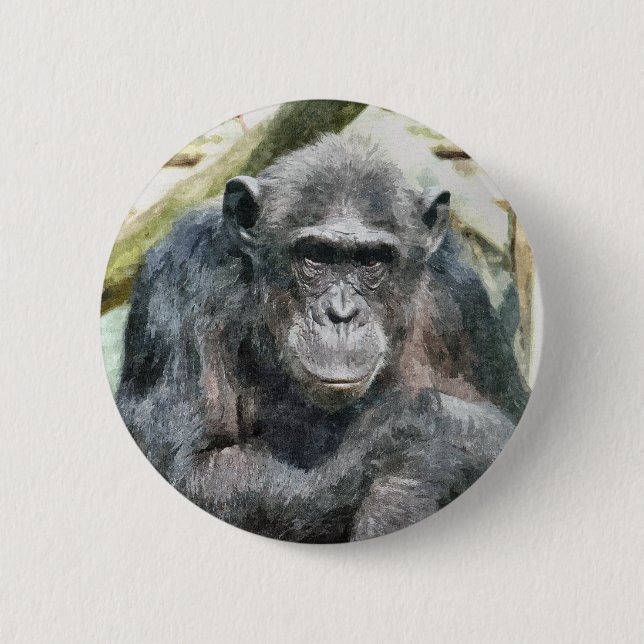 BADGE ROND 5 CM CHIMPANZÉS (Devant)
