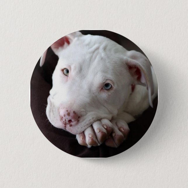 Badge Rond 5 Cm Chiot (Devant)