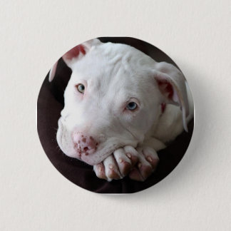 Badge Rond 5 Cm Chiot