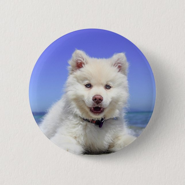 Badge Rond 5 Cm Chiot blanc Husky avec yeux bleus (Devant)