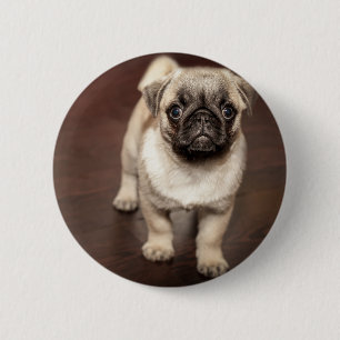 Badge Rond 5 Cm Chiot de carlin