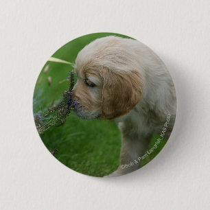 Badge Rond 5 Cm Chiot de golden retriever
