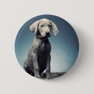 Badge Rond 5 Cm Chiot de Weimaraner