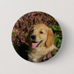 Badge Rond 5 Cm Chiot d'or de Retreiver