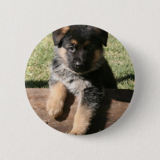 Badge Rond 5 Cm Chiot "grands maximum " allemand de berger