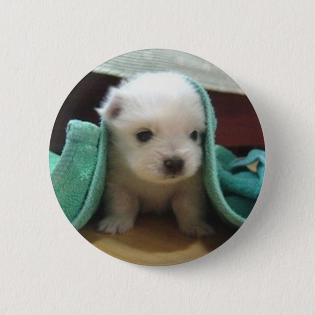 Badge Rond 5 Cm chiot maltais (Devant)