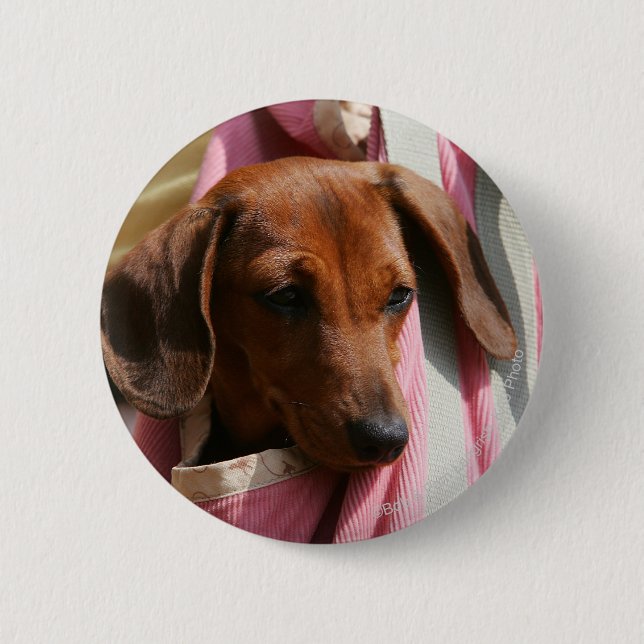 Badge Rond 5 Cm chiot miniature Lisse-haired de teckel (Devant)