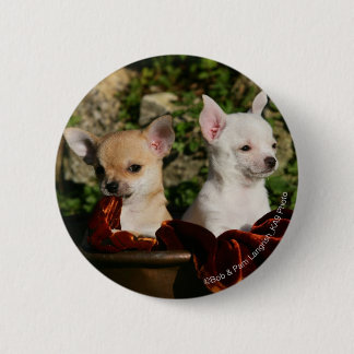 Badge Rond 5 Cm Chiots de chiwawa