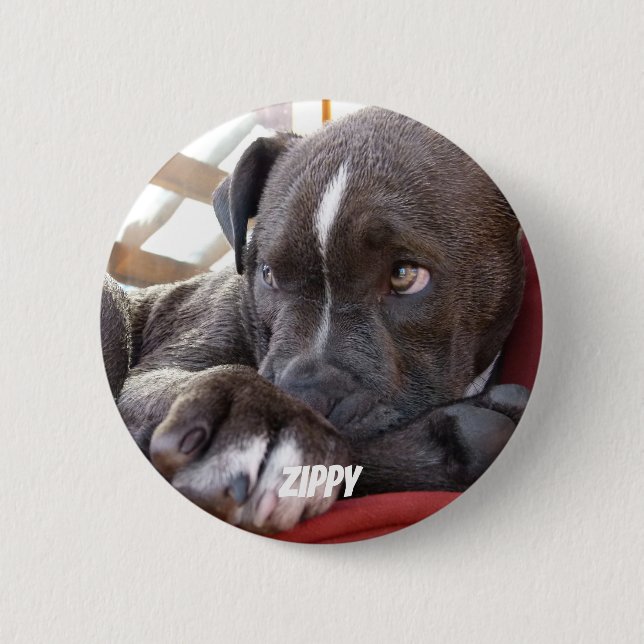 Badge Rond 5 Cm Chiots Editable de Pitbull de bébé (Devant)