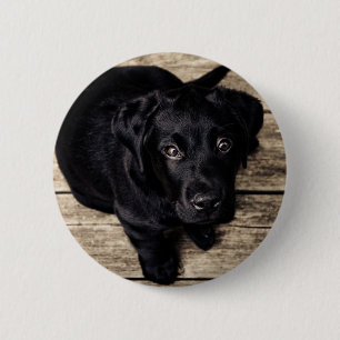 Badge Rond 5 Cm Chiots Labrador Retriever noir sur du bois