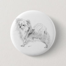Chiwawa de Longcoat - se tenant