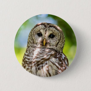 Badge Rond 5 Cm Chouette barrée