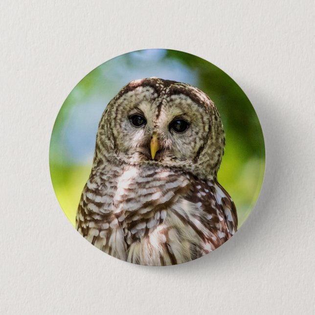 Badge Rond 5 Cm Chouette barrée (Devant)