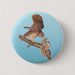 Badge Rond 5 Cm Chouette barrée d'Audubon et heureux amis des écur
