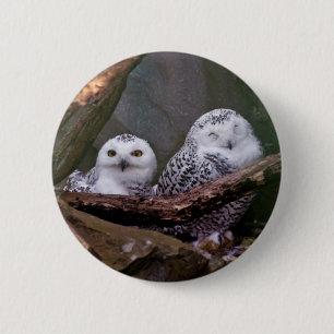 Badge Rond 5 Cm Chouette Harfang Couple Art Bois Faune