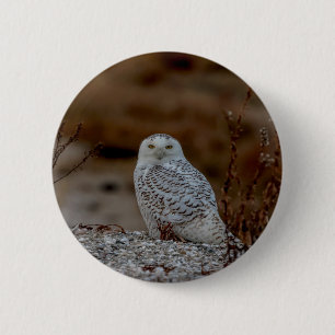 Badge Rond 5 Cm Chouette neige assise sur un rocher