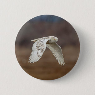 Badge Rond 5 Cm Chouette neige en vol
