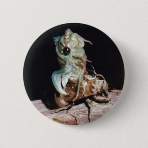 Badge Rond 5 Cm Cicada