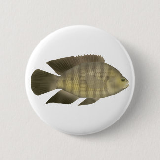 Badge Rond 5 Cm Cichlidé caméléon