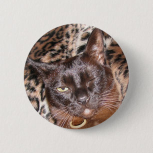 Badge Rond 5 Cm Cligner de l'oeil le bouton birman