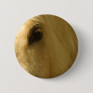 Badge Rond 5 Cm Closeuse du cheval blanc