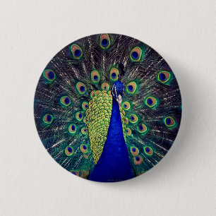 Badge Rond 5 Cm Cobalt Blue Peacock
