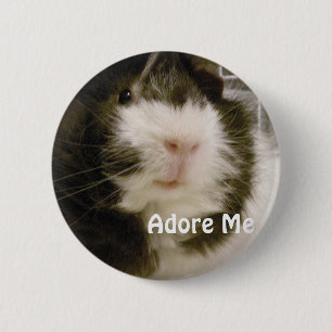 Badge Rond 5 Cm Cobaye