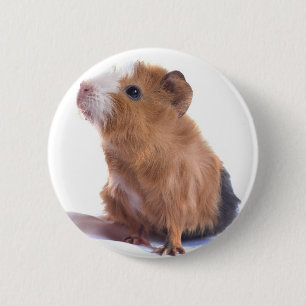 Badge Rond 5 Cm cobaye